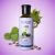 Castor-Oil.jpg